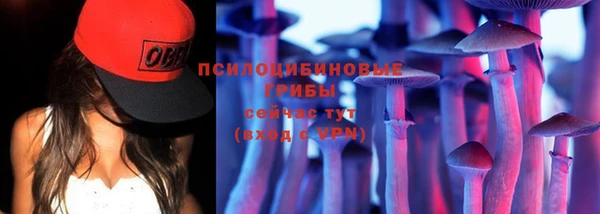 амф Заполярный